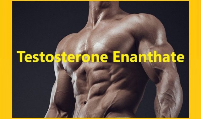 Testosterone Enanthate