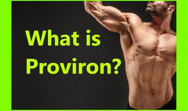 What is Proviron?