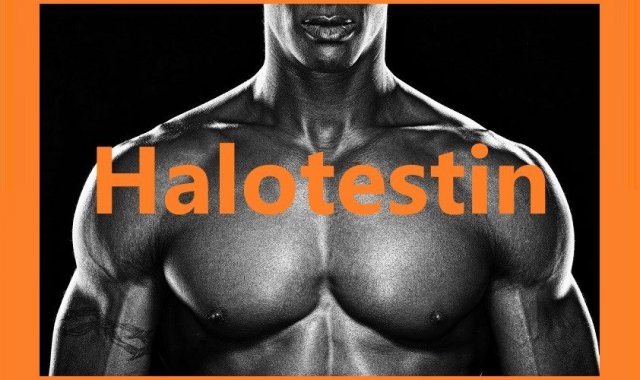 Halotestin