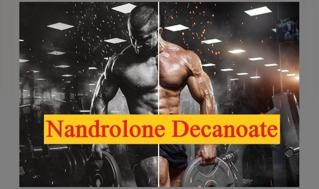 Nandrolone Decanoate