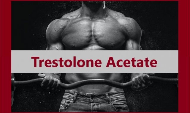Trestolone Acetate