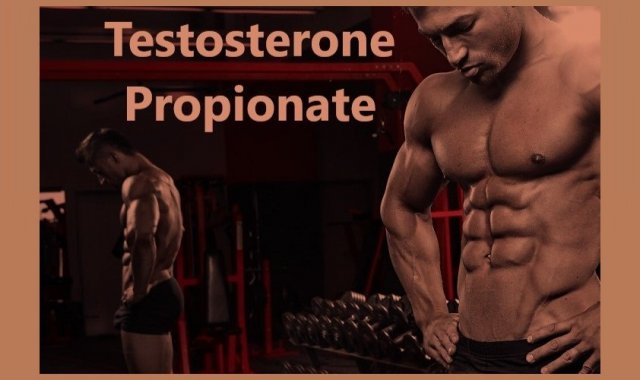 Testosterone Propionate