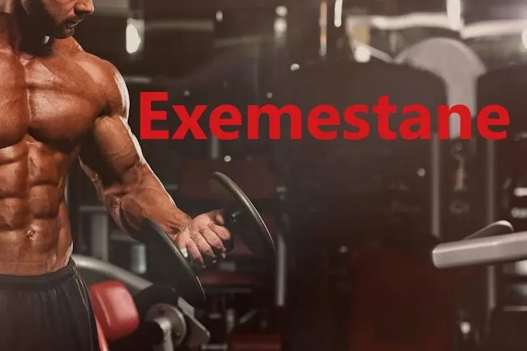 Exemestane Exemestane