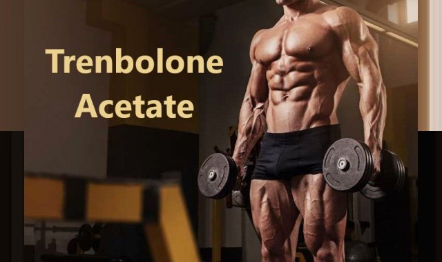 Trenbolone Acetate