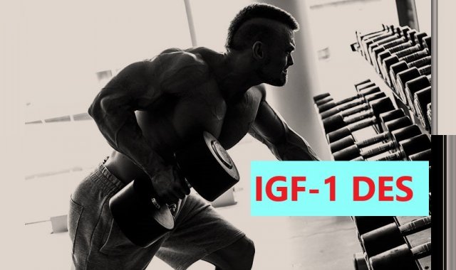 IGF-1 DES