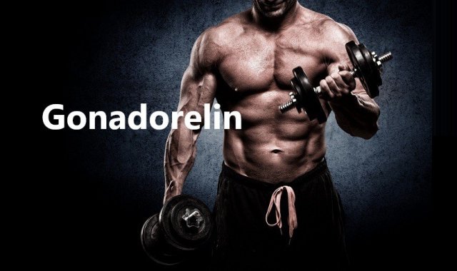 Gonadorelin