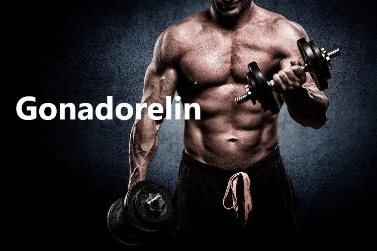 Gonadorelin Gonadorelin