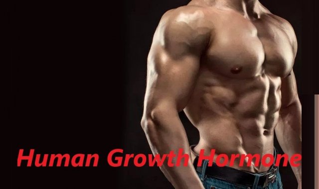 Human Growth Hormone