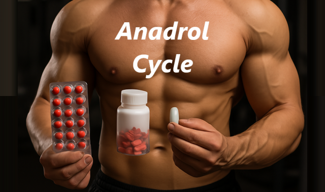 Anadrol Cycle