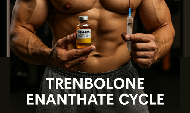 Trenbolone Enanthate Cycle