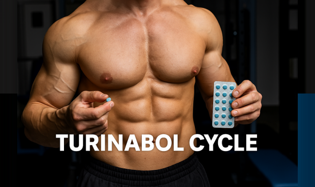 Turinabol Cycle