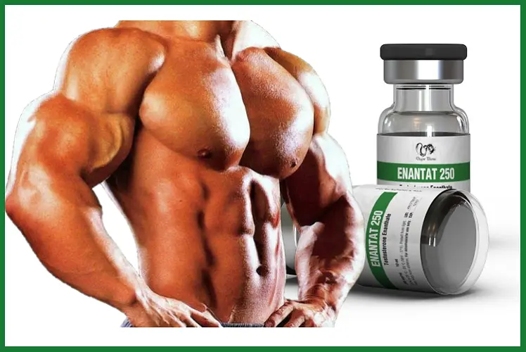 Dragon Pharma Enantat 250