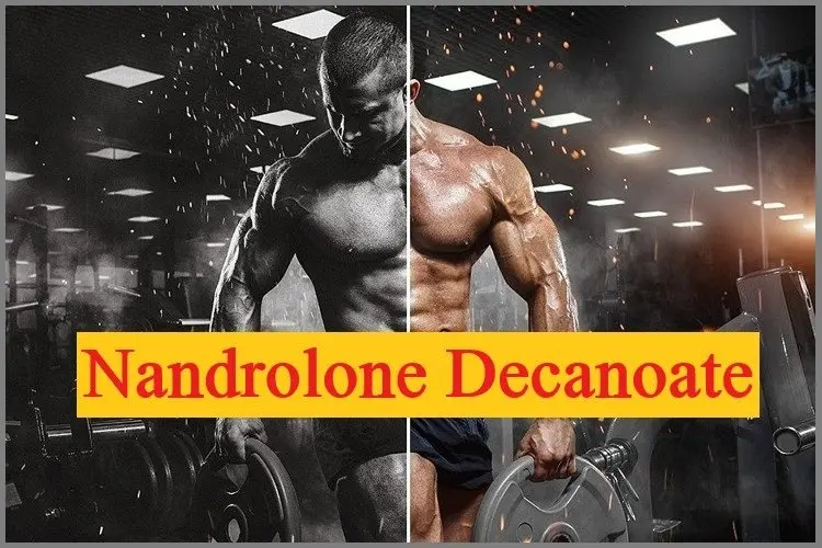 Nandrolone Decanoate