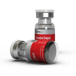 Testabol Depot (Test C)