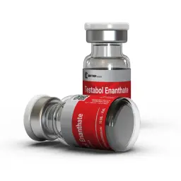 Testabol Enanthate (Test E)