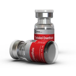 Testabol Enanthate (Test E) Testabol Enanthate (Test E)