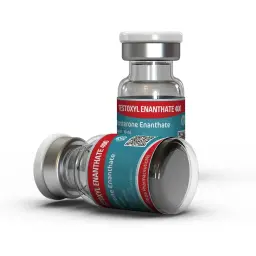 Testoxyl Enanthate 400 (Test E)
