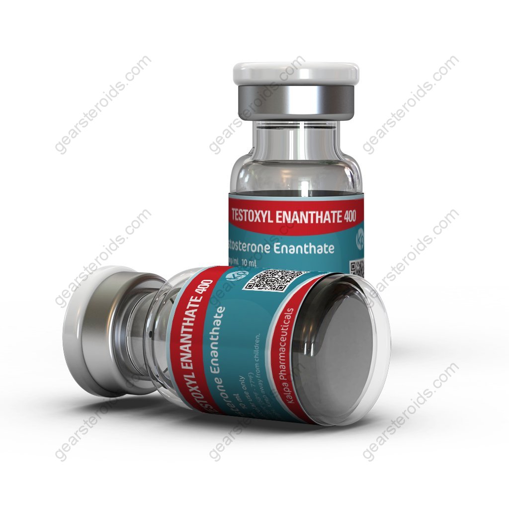 Testoxyl Enanthate 400 (Test E) Testoxyl Enanthate 400 (Test E)