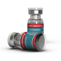 Testoxyl Enanthate 400 (Test E) Testoxyl Enanthate 400 (Test E)