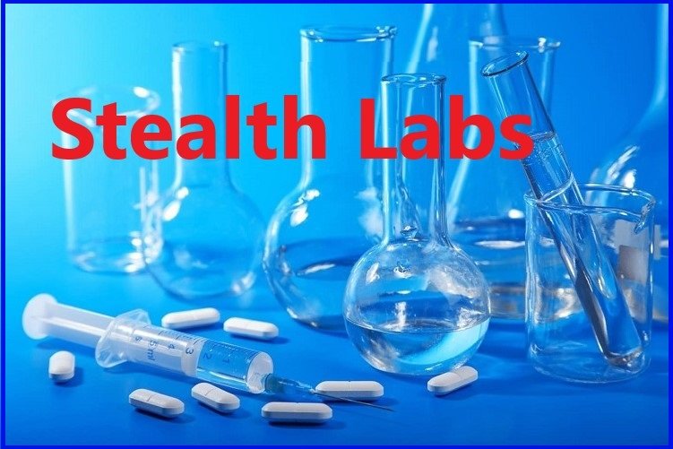 Stealth Labs Logo