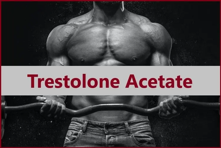 Trestolone Acetate